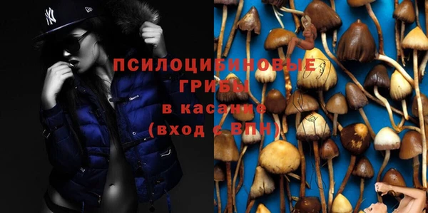 мяу мяу мука Абаза