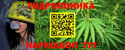 бошки Можга