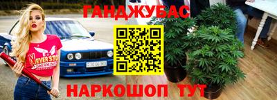 ALPHA PVP Моздок