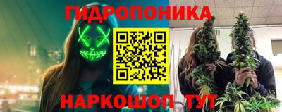 бошки Можга