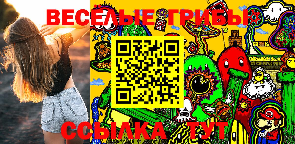 Галлюциногенные грибы GOLDEN TEACHER  Вход с VPN  Ртищево 