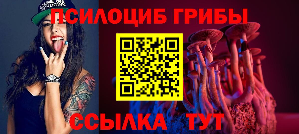 Псилоцибиновые грибы Magic Shrooms Ртищево